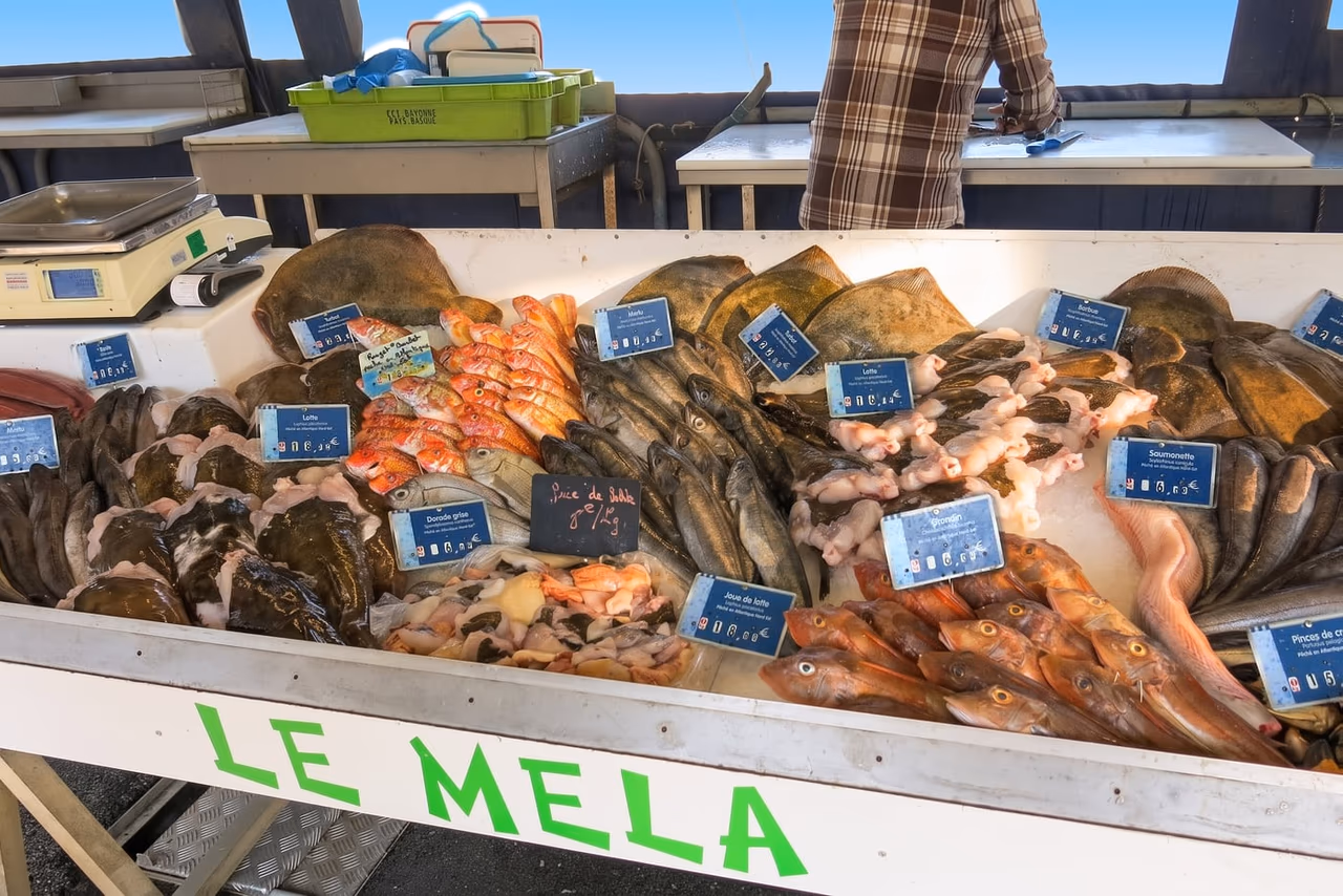 Étal de poissons de la pêche locale vendus directement sur le port de Capbreton (40)