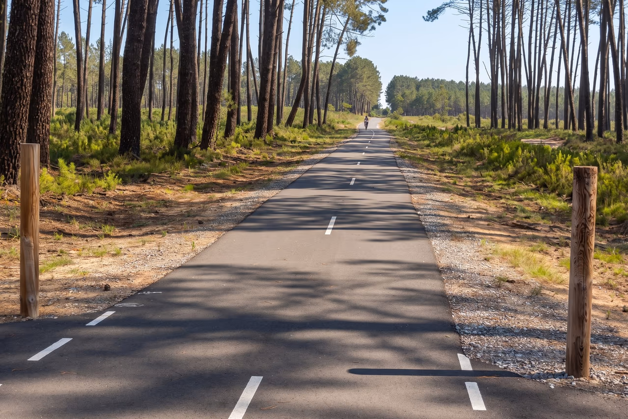 Voie verte « Lo Camin de Hè » à travers la forêt de pins ensoleillée à Taller (40)
