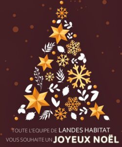 Nous vous souhaitons de bonnes fêtes de fin d'année | Landes Habitat