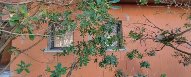 🚧 Vieux-Boucau : Menuiseries K-LINE posées | Landes Habitat